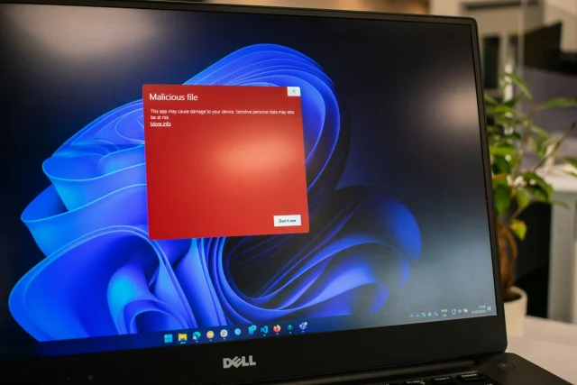 Example of what a malicious malware file looks like